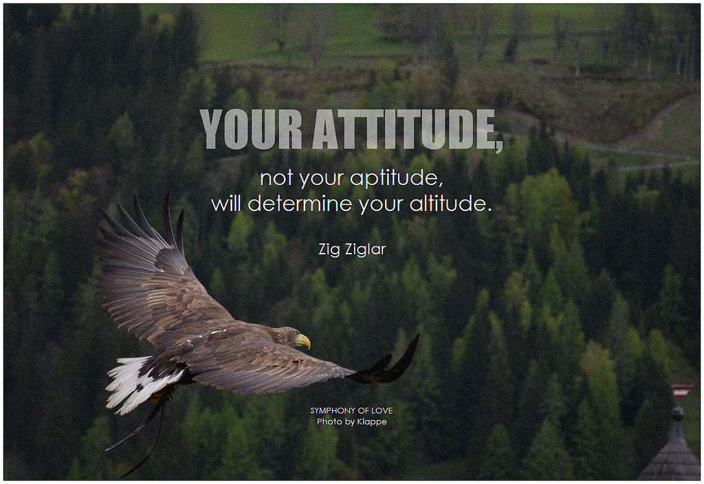 Attitude